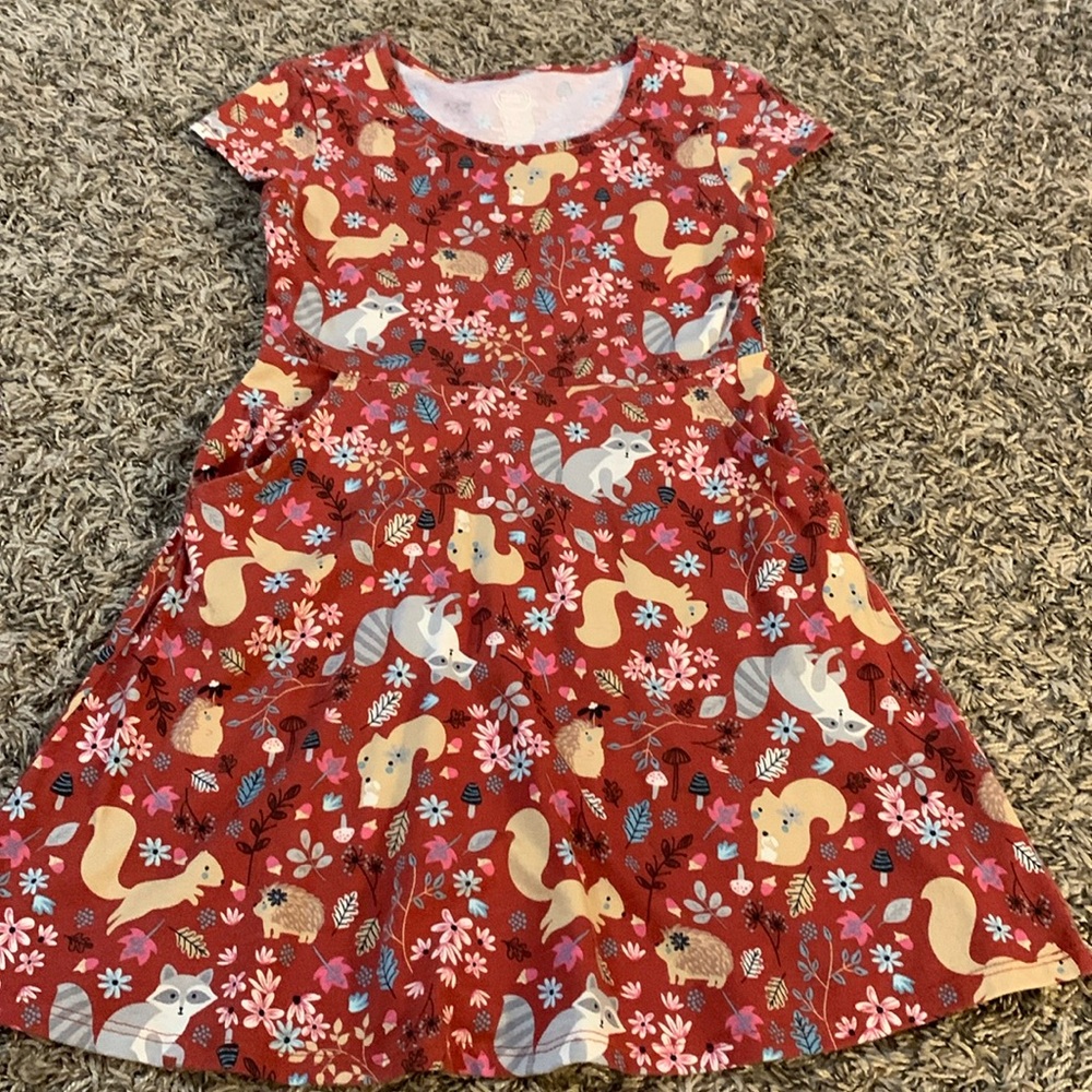 Fall, woodland creature dress with pockets - Girls size Small 6/6x